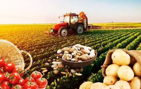 Aqrar sahədə subsidiyalar niyə gözlənilən nəticəni vermir? – İqtisadçı səbəbləri açıqlayır