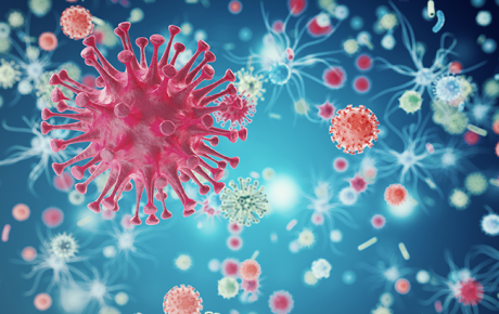 Bu ölümcül virus Azərbaycanda da yayıla bilər – Həkimdən SOS