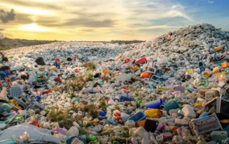 Qorxudan araşdırma: Su və plastik bir araya gələndə nə baş verir?